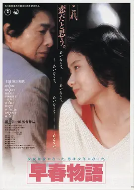 善良的小姨子 电影海报